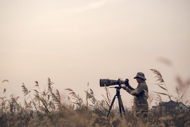 伊田园罐头怎么样,伊田园罐头怎么样好吃吗