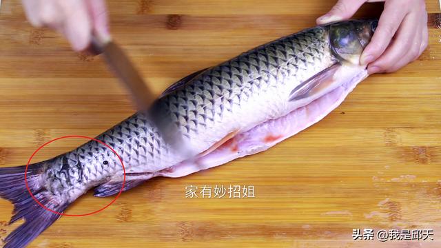 鱼鳞炸开真恶心图片,三道鳞千万不能吃