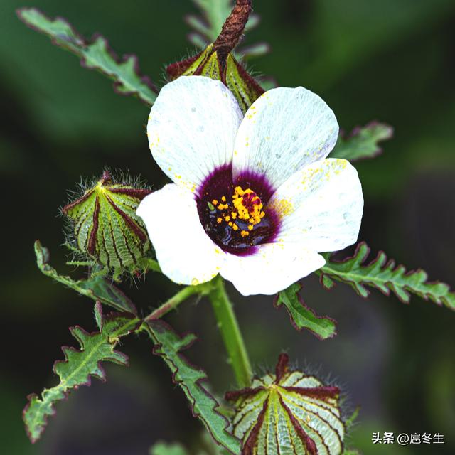 住家护理老人每月多少钱,老人陪护多少钱一个月