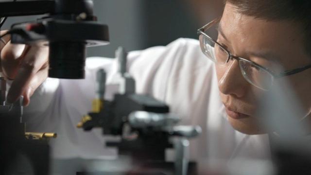 光学显微镜,光学显微镜和电子显微镜的区别