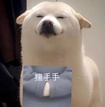 亚马逊kindle,亚马逊kindle官网