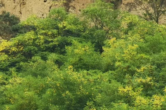 初中语文教师年度考核个人总结2023,小学语文教师年度考核个人总结2023