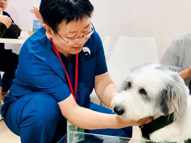 加盟冰雪蜜城大概多少钱,宠物医院加盟大概要多少钱