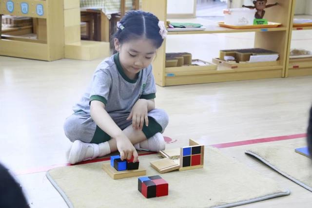 小树苗幼儿园怎么样,小树苗幼儿园在哪里