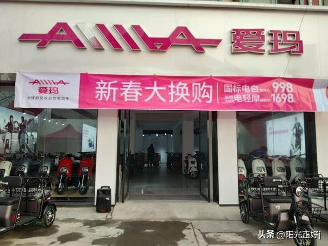 十大电动车排名前十名,爱玛电动车所有车型图片