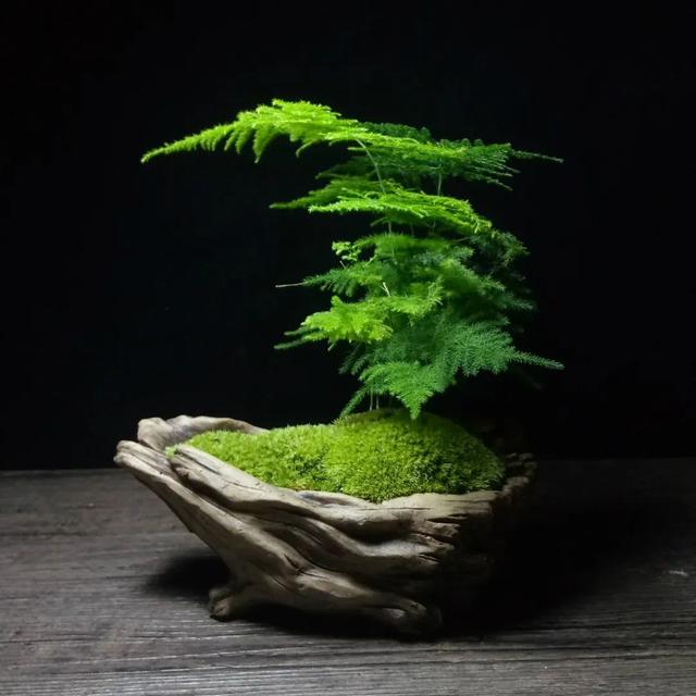 花玲珑终极一班,花玲珑终极一班经典片段