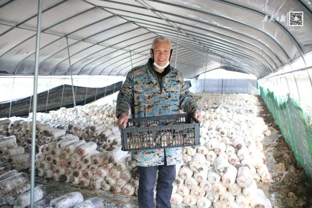 卓明谷s1,卓明谷s1_上海