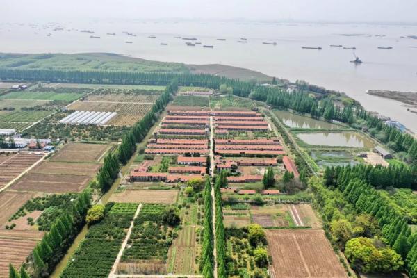 玻璃钢恐龙雕塑定制,玻璃钢恐龙雕塑定制厂家