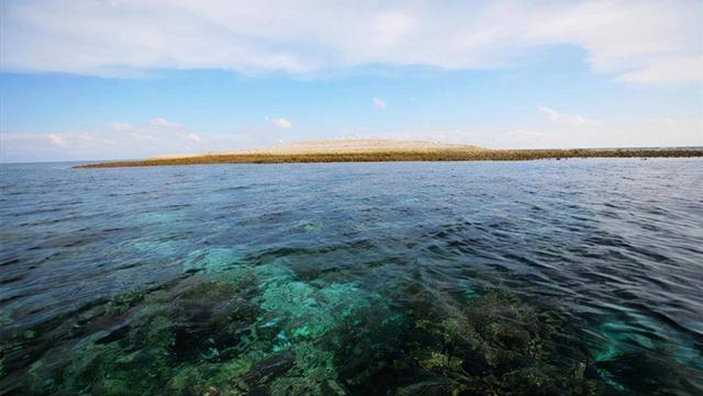 南海岛礁实际控制地图2021,南海岛礁实际控制地图2022