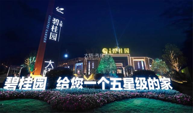 碧桂园集团董事长,碧桂园集团董事长杨惠妍