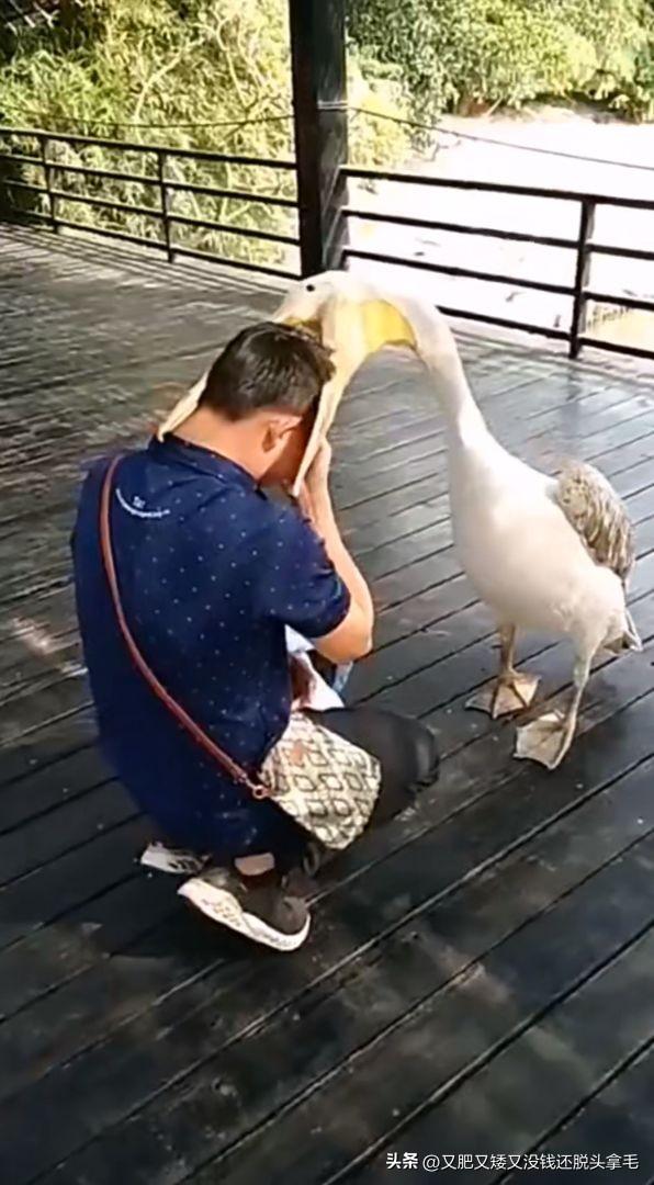 醍醐灌顶是什么意思,醍醐灌顶是什么意思解释