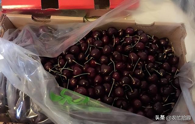 车厘子多少钱一斤现在市场价2022,车厘子多少钱一斤现在市场价2021