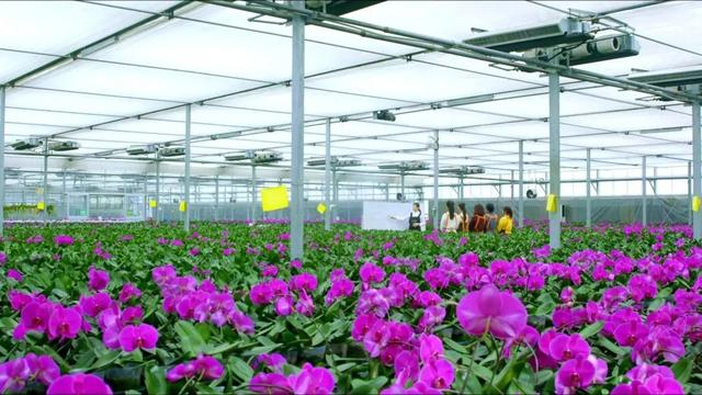 有信商城是正规平台吗,有信商城是正规平台吗安全吗