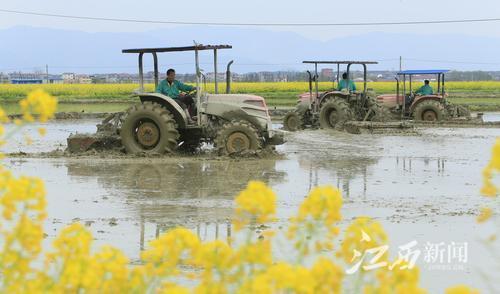 余加田读什么字,余加个田念什么