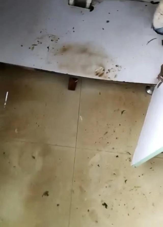 新楼盘二楼还存在下水管堵吗，二楼卫生间粪水倒灌解决办法