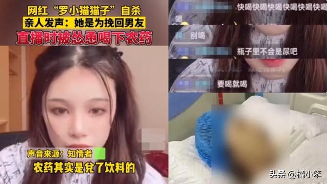 牌牌琦和小伊伊婚纱照，博雅打扑克牌网站