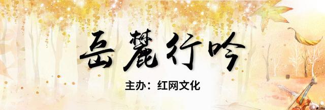 为什么会收到挂号信,一般什么会发挂号信