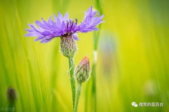 醉逍遥,醉逍遥官网