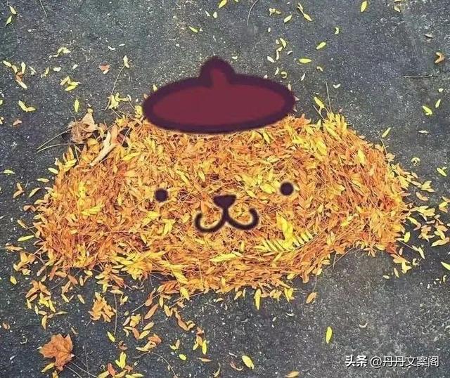 谢谢老板表情包动图搞笑，谢谢老板表情包gif