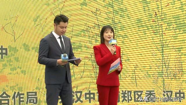 cctv13新闻直播间女主持人名单，女主持人名单全部