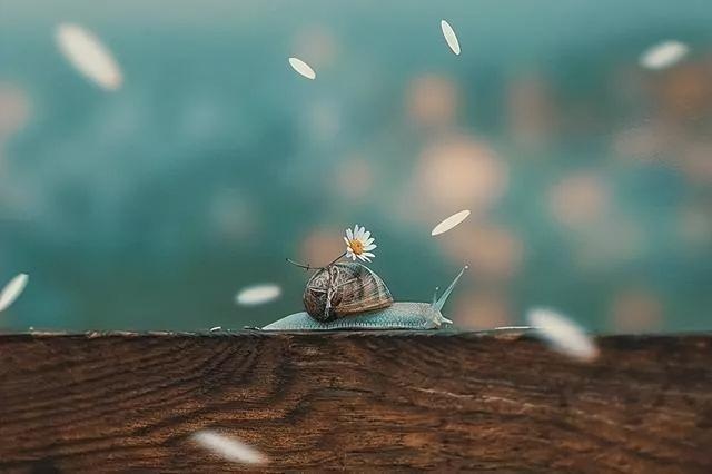 一句话让嘴贱的人闭嘴，一句话让嘴贱的人闭嘴的说说