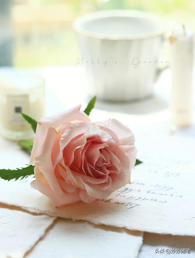 标题怎么写吸引人抖音文案，标题怎么写吸引人抖音视频