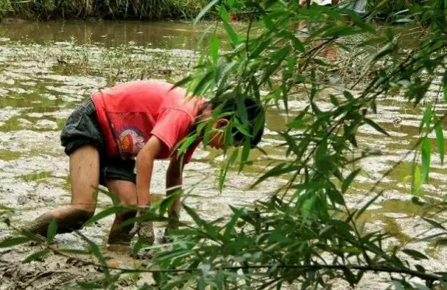 男科医院排名最好的医院,肿瘤医院全国排名一