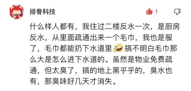新楼盘二楼还存在下水管堵吗，二楼卫生间粪水倒灌解决办法