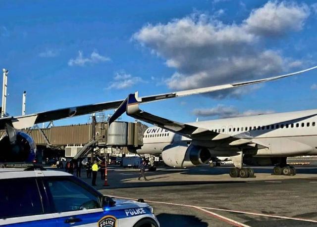 虎cares是什么意思,虎dre是什么意思