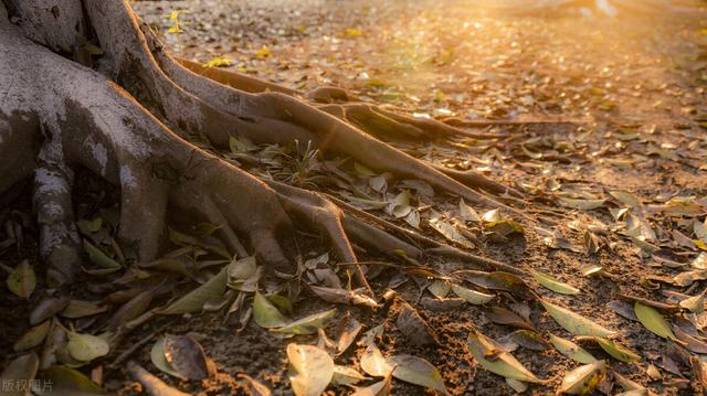 表情美女约吗,找个美女聊天表情图片