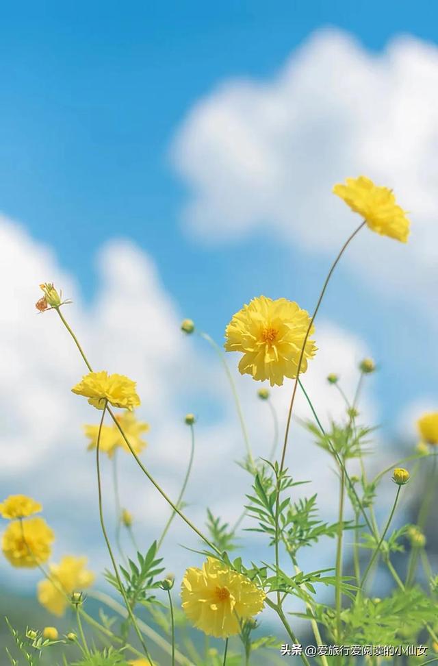 蚂蚁森林能量9.7kg怎么来的，每天3个296g能量怎么弄