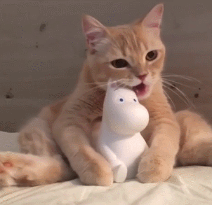 女人圈养和放养的区别,圈养型女友是什么意思