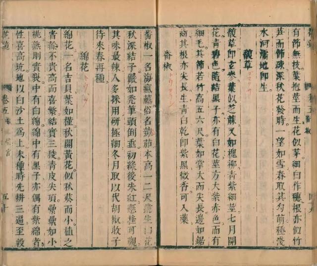 氨基酸五笔怎么打字,弋五笔怎么打