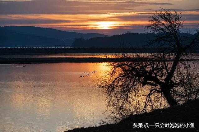 儿子欠了网贷父母应该怎么办电话，儿子欠了网贷父母应该怎么办呢