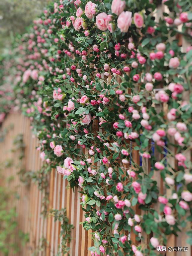 抖音直播内容聊天稿子_抖音直播三大话术,抖音直播内容聊天稿子交大家怎么开直播是真的吗