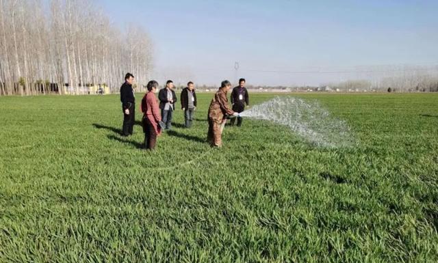 官媒组合拳出手，摆地摊就日入9000，用事实教你不准“春池嫣韵”