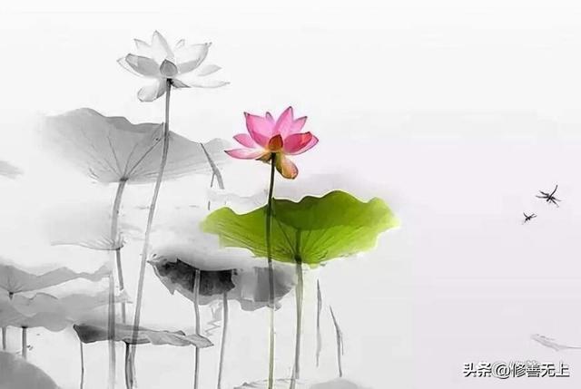 人生四大幸事分别是什么,人生四大幸事分别是什么意思