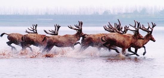 好吃点是哪个国家的品牌，好吃点品牌介绍