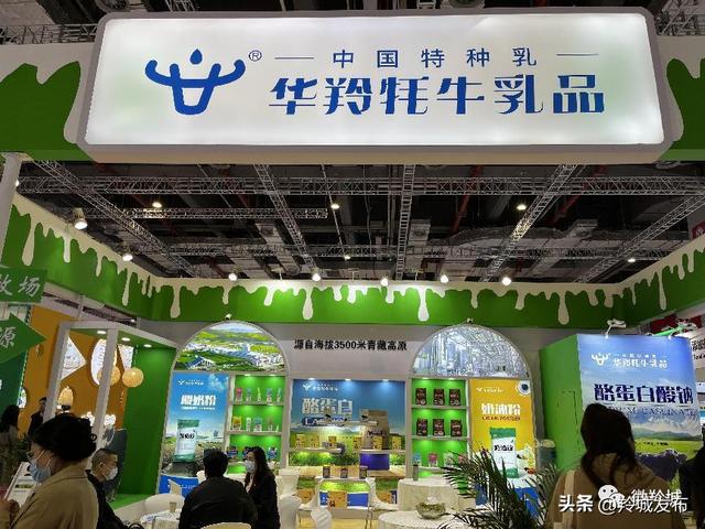 牦牛奶有假的吗，牦牛奶是真的吗