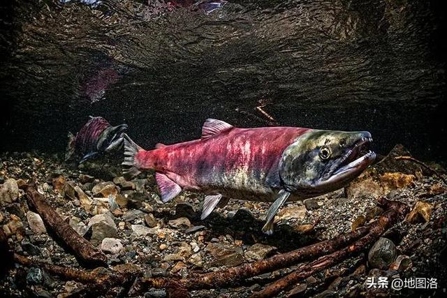 中国几大岛屿排名,中国十大岛屿排名