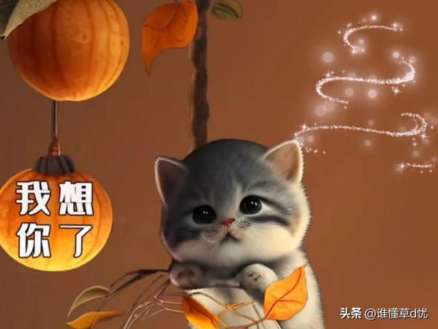 情有所归情有所依意思,心有所依情有所寄意思