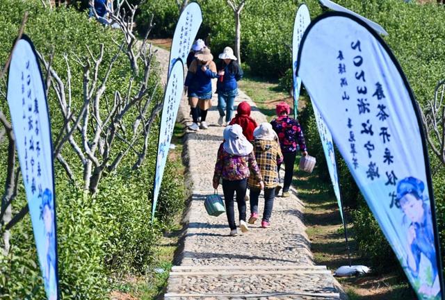 春日井祛痘有用吗，春日井眼部护理液怎么样