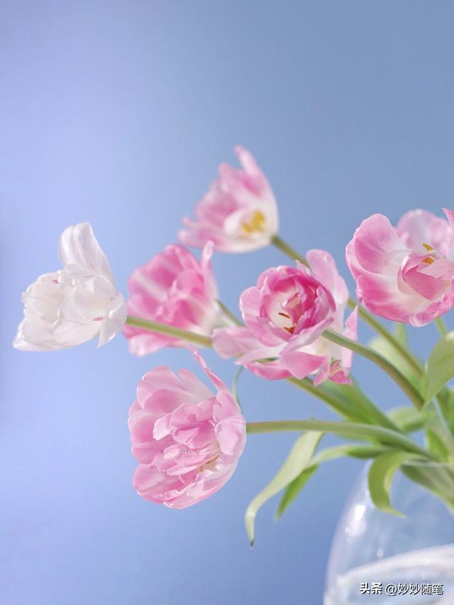 标题怎么写吸引人抖音文案，标题怎么写吸引人抖音视频