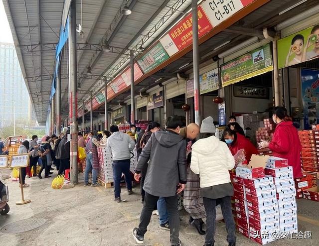 车厘子多少钱一斤现在市场价2022,车厘子多少钱一斤现在市场价2021