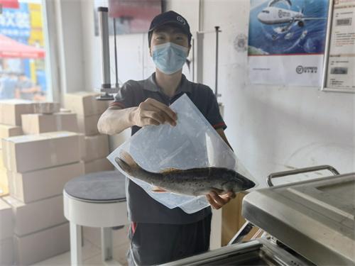 拾季玫瑰能开炸吗，拾季玫瑰图片欣赏