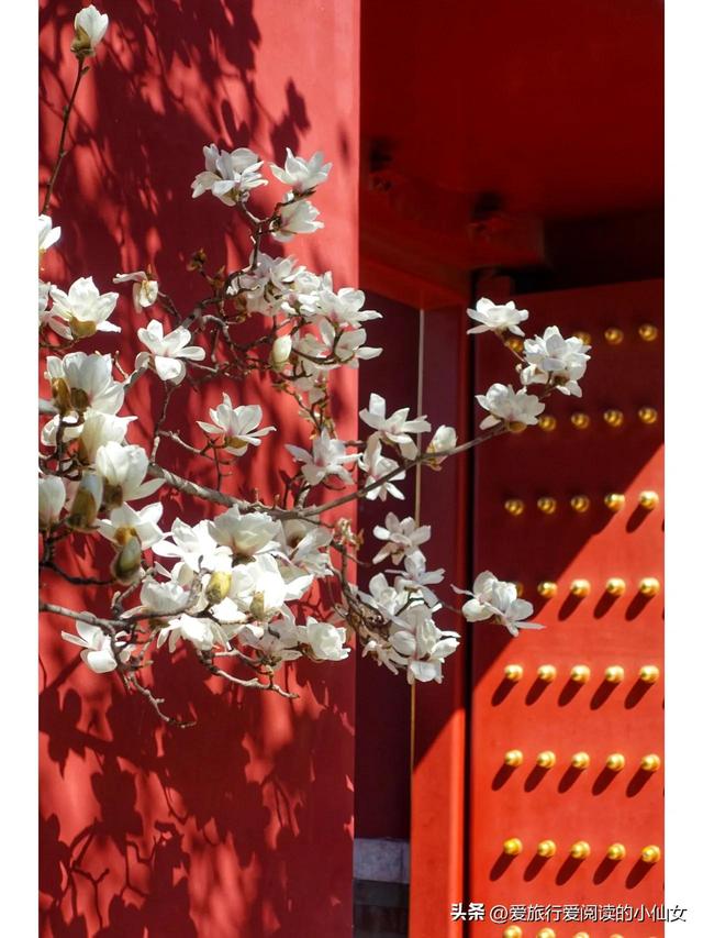 蚂蚁森林能量9.7kg怎么来的，每天3个296g能量怎么弄