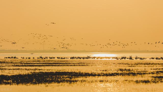 男生其实已经暗示了喜欢你,断联后男人熬不住的表现