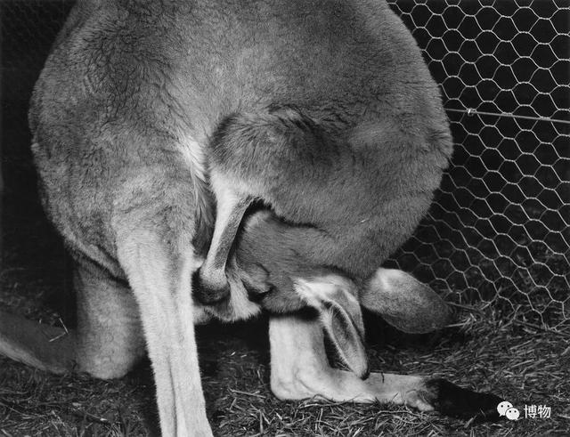 卡特里娜飓风英文，美国应对卡特里娜飓风