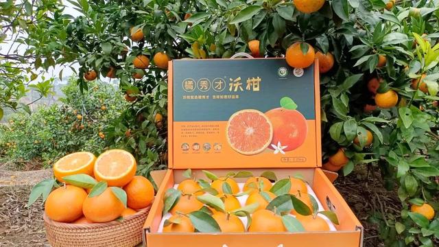 什么软件可以找客户资源,找客户的软件有哪些