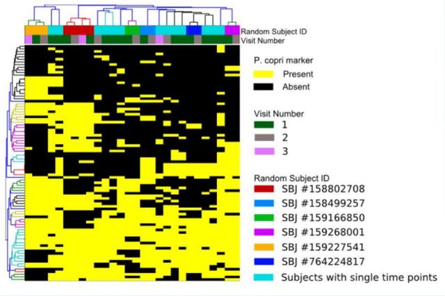 4个图形名称图片,初中数学图形与几何知识点总结"